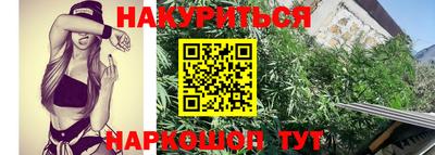 индика Тулун