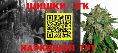 индика Тулун