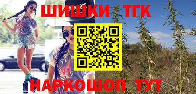 индика Тулун
