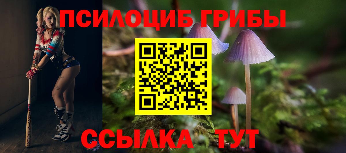 Галлюциногенные грибы GOLDEN TEACHER  Вход с VPN  Белебей 